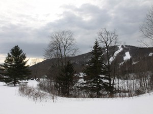 IMG_0668 web