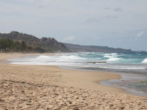 IMG_1341